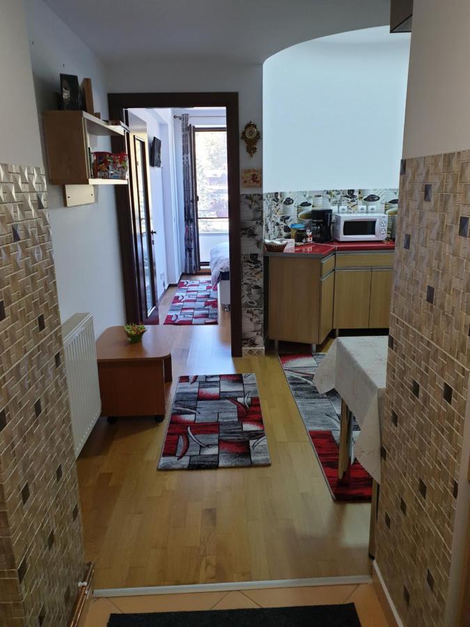 Sophie Apartament Apartment Sinaia Luaran gambar