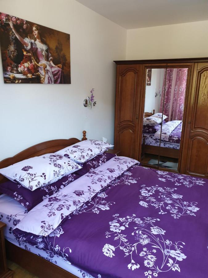 Sophie Apartament Apartment Sinaia Luaran gambar