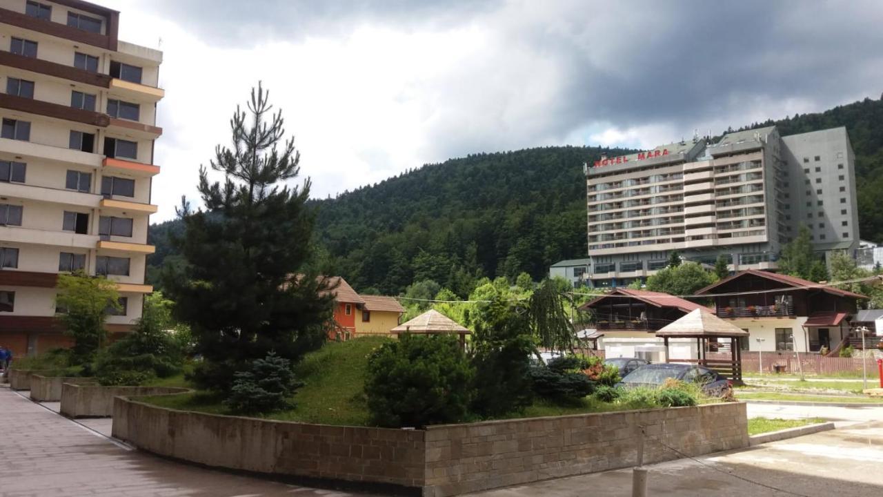 Sophie Apartament Apartment Sinaia Luaran gambar