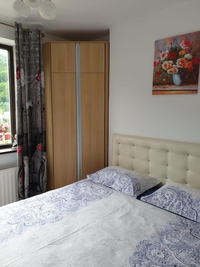 Sophie Apartament Apartment Sinaia Luaran gambar