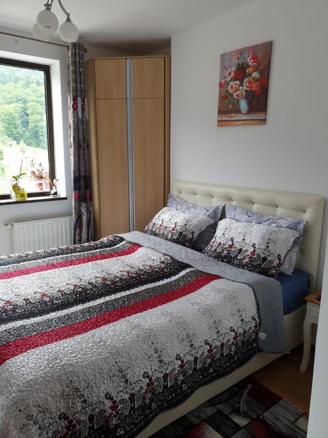 Sophie Apartament Apartment Sinaia Luaran gambar