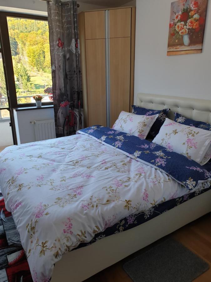 Sophie Apartament Apartment Sinaia Luaran gambar
