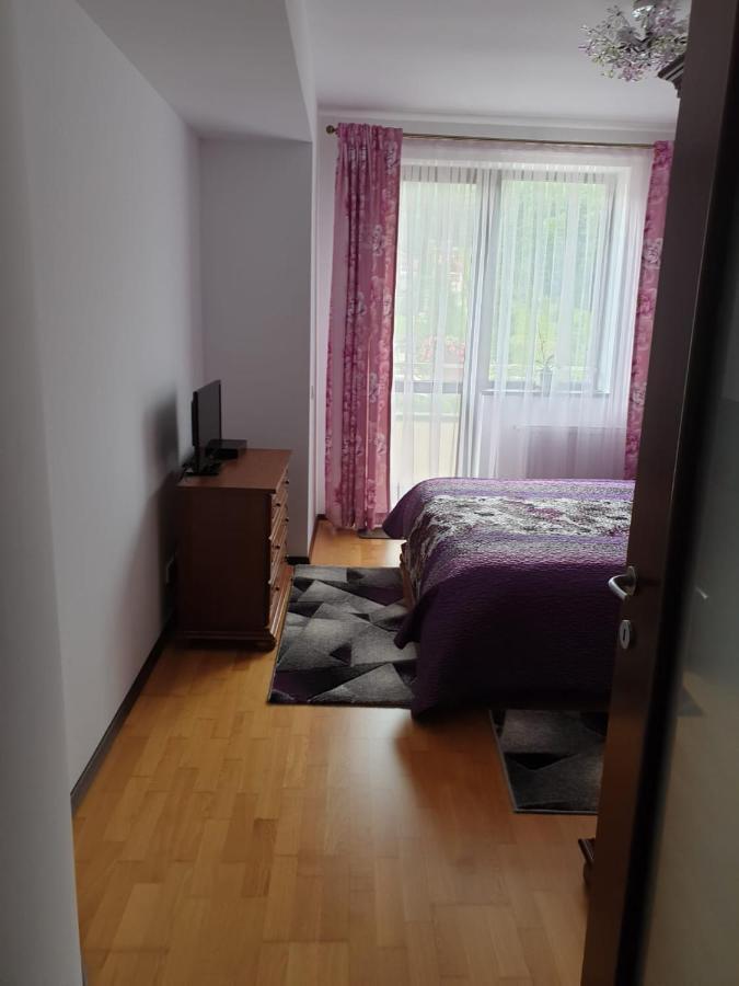 Sophie Apartament Apartment Sinaia Luaran gambar