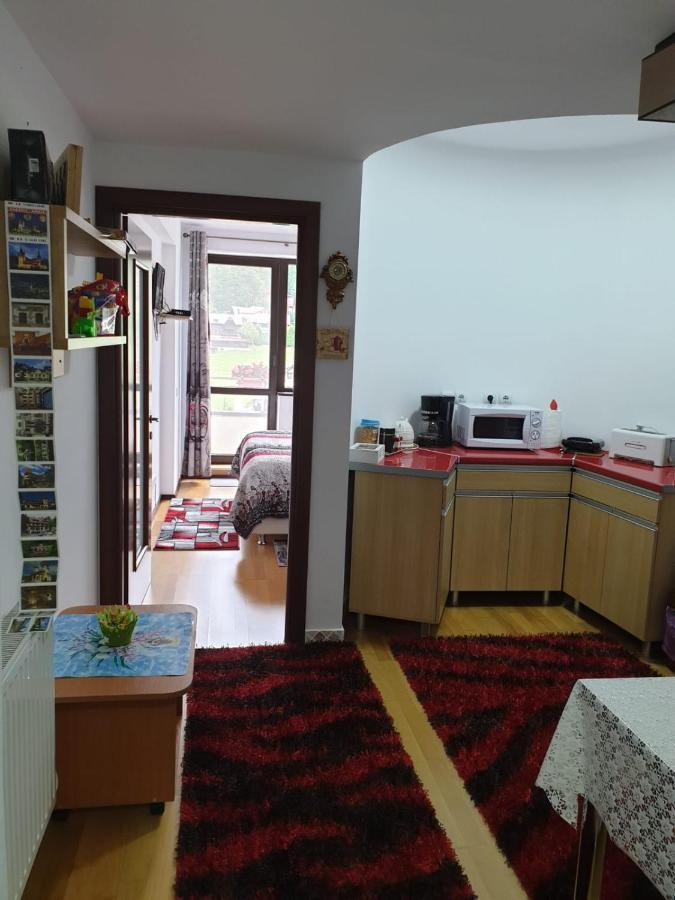 Sophie Apartament Apartment Sinaia Luaran gambar