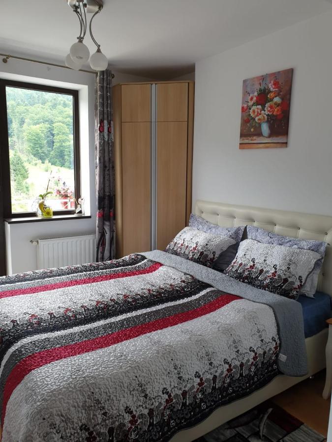 Sophie Apartament Apartment Sinaia Luaran gambar