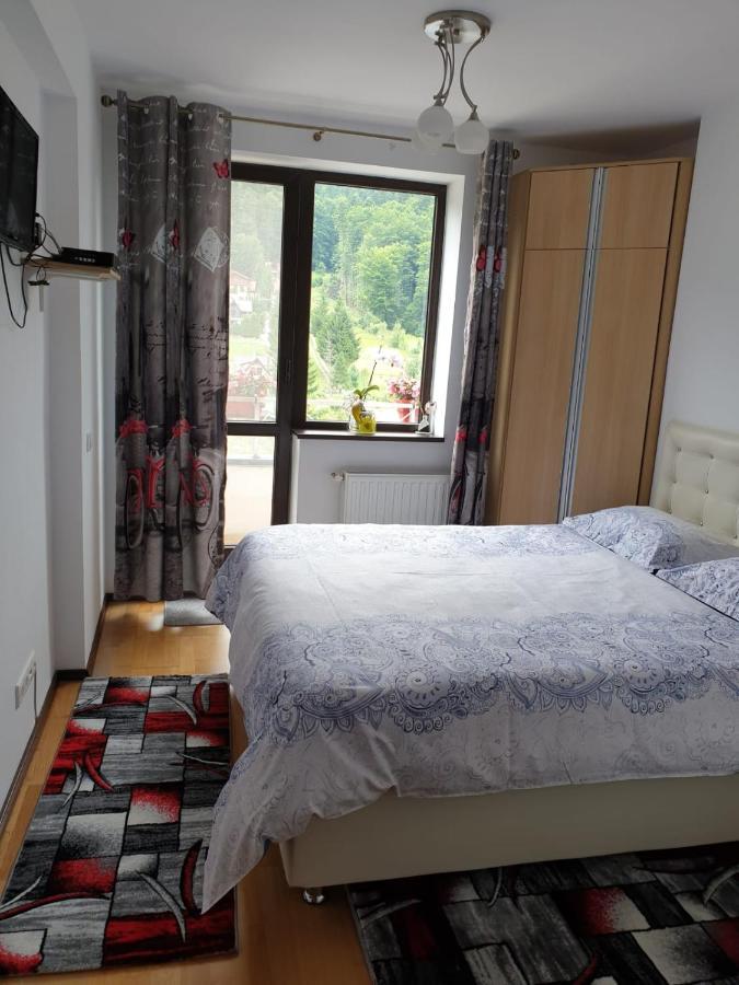 Sophie Apartament Apartment Sinaia Luaran gambar