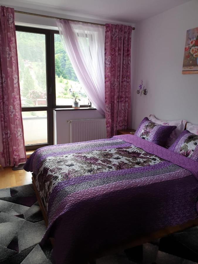 Sophie Apartament Apartment Sinaia Luaran gambar
